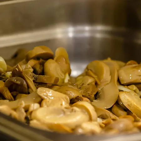 公寓式酒店 Turim Estrela Do Vau 4*